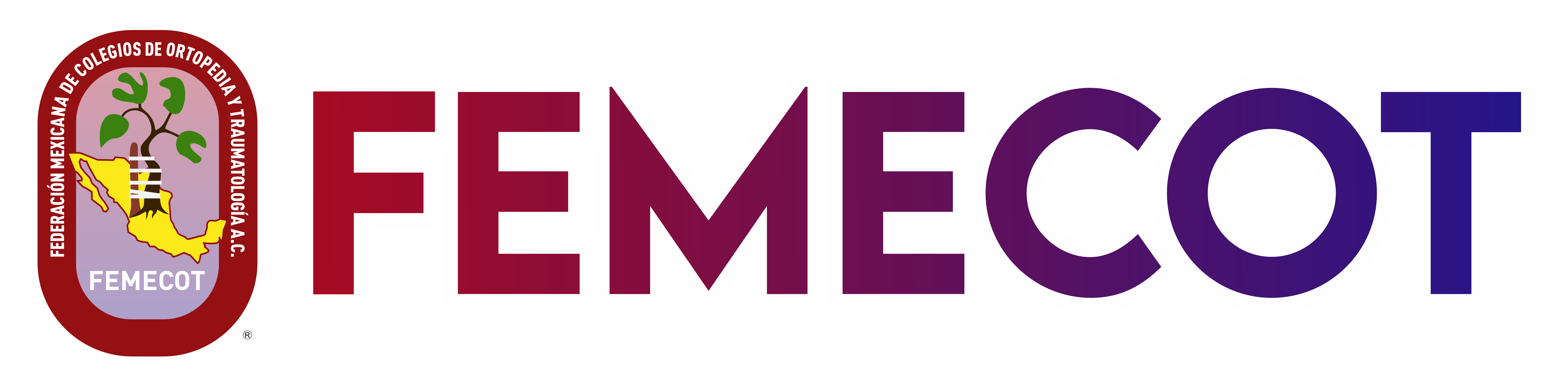 FEMECOT Logo